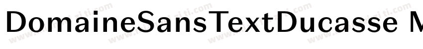 DomaineSansTextDucasse Medium字体转换